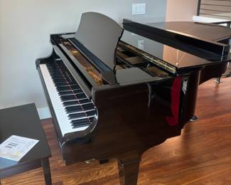 Schafer & Sons Baby Grand Piano