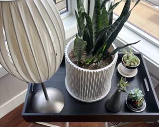 Contemporary Chrome Tone White Egg Shade Table Lamp, Sansevieria in White Geometric Planter, Assortment of Succulents