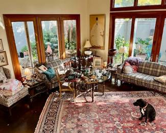 Happy in Alamo Heights