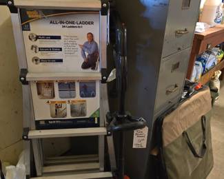 All the ladder you will ever need, possibly. 