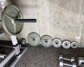 Gym Set up with bench press weights