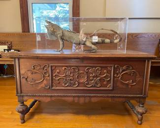 Taxidermied Iguana, Church Pew