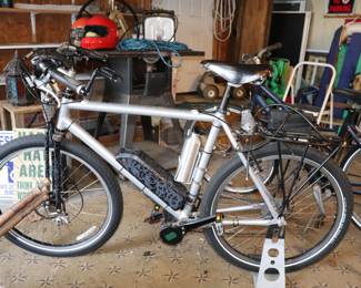 Custom Electric Bike 