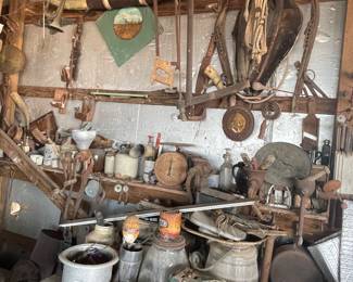 Steer Horns, Primitives