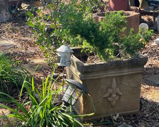 Large Planters with Plants