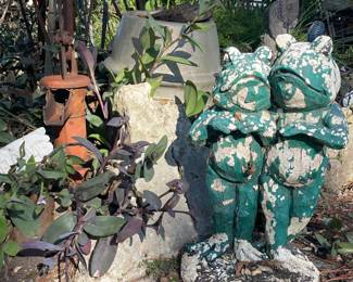 Old Hand Water Pump, Frog Statue