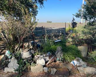 Garden Gate, Concrete Statues, Planter, Plants