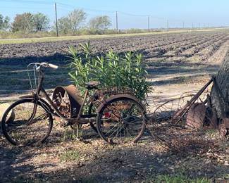 Old Tricycle Yard Art