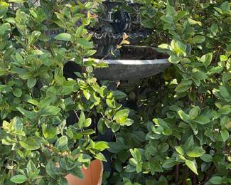 Water fountain Birdbath