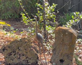 Large Rocks, Metal Bird