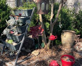 Frog Decor, Succulent Planter