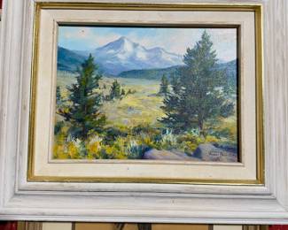 Yvonne Hall California ‘Mt Shasta’ 