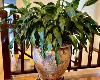 Peace lily in Chinese fish bowl planter with wood stand