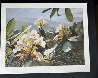 Carroll Shope 131/1000