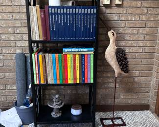 Book shelf, records, and rug