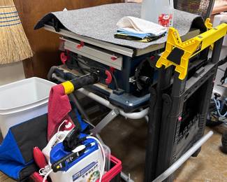 Table saw and saw horse