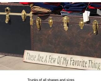Several trunks of all shapes and sizes