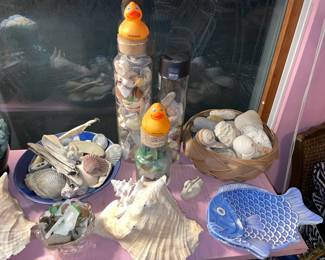 Seashell & Sea Glass Collection