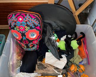 Halloween & Fall Decor