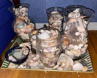 Seashell Collection In Vases