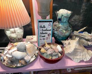 Seashell & Sea Glass Collection