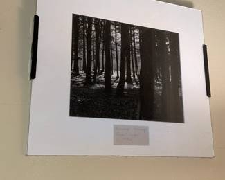 Signed Artist Picture