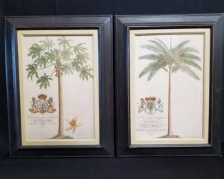 Lot # : 113 - Pair of framed Georg Dionysius Ehret palm prints
