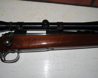Remington .244 REM Close UP