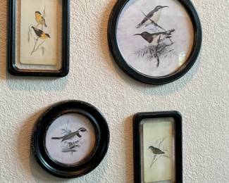 Cute bird Wall art set