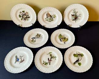 Alfred Meakin Birds of America