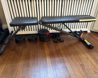 Bench and Freeweights