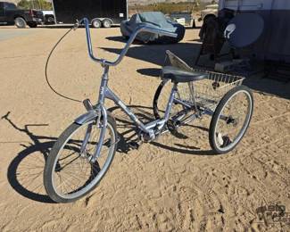 10  Miami Sun Tricycle 