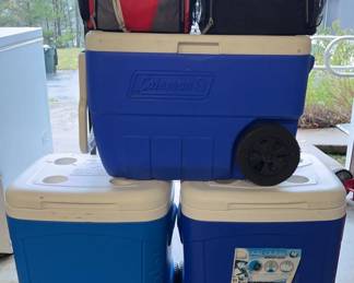 Ice Chest Lot