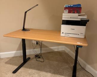 IMovR Lander Select Electric Standing Desk (Desktop- 30"D x 59"W x 24-1/2" - 50"H)
