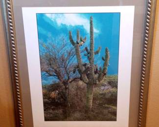 Digital Print Of Cactus by Peter Jones