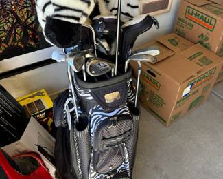 Rj Womens Golf Bag With Callaway, Hawkeye, Big Bertha