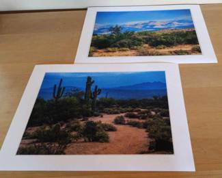 Digital Prints Of Open Desert