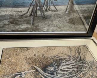 Deeper Thoughts Saguaro Skeleton