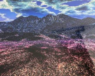 Digitized Four Peaks Blues And Purples