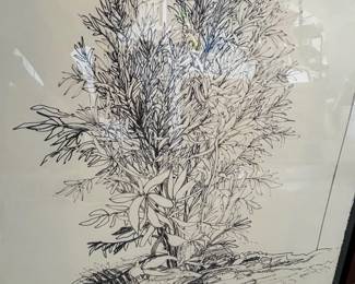Southwest Bush Pen ink Original Drawing