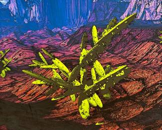 Lg Cactus In Desert W Mountains