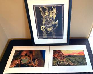 Leaf Scan Original $400 Gwen Jones, 2 Landscape Digital