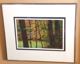 Michigan Fall Foliage Photo By Peter Jones