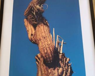 Saguaro Cactus wBlue Sky Digital Print