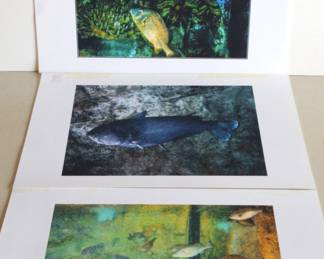 Digital Prints of Fish Photos