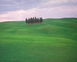 Italian Landscape Print | Pencil signed and dated 2003 lower right, titled lower left, Cipressi; sight 10 x 13.75. -  h. 16.25 x w. 20.5 in (frame)