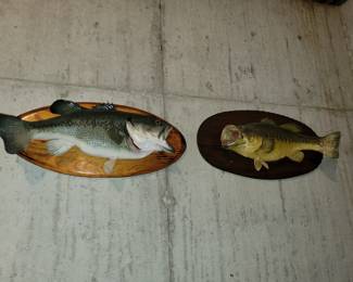 Mounted fish
