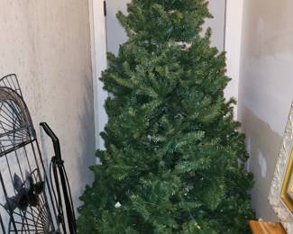 2 yr old Christmas tree