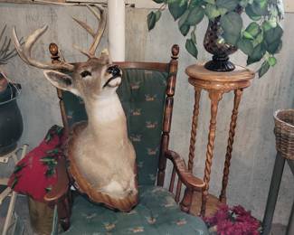 8 pt Buck mounted head