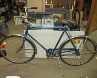 1970s Schwinn Speedster!